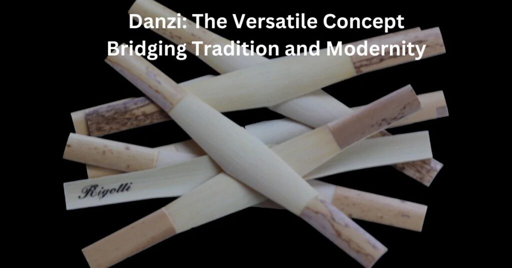 Danzi: The Versatile Concept Bridging Tradition and Modernity Danzi
